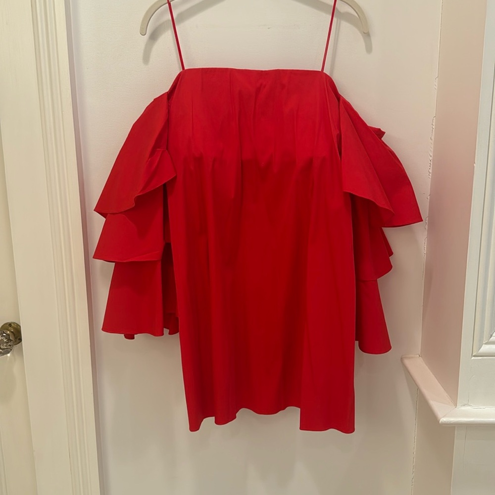 Strapless Caroline Constas mini flamenco dress